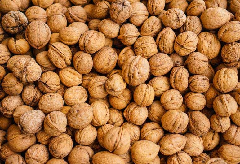 تصویر 4 از فروش ویژه عمده گردو با پوست کاغذی ممتاز آذربایجان مستقیم از کشاورز + با قیمت مناسب