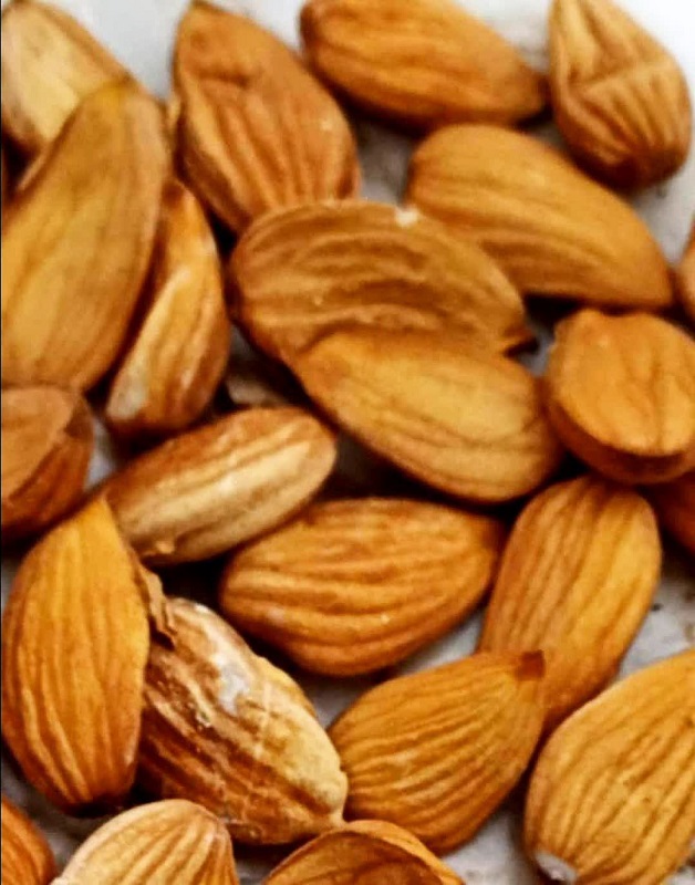 فروش و قیمت بادام مامایی صادراتی خیلی درشت