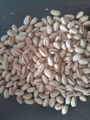 خرید و فروش اقتصادی پسته اکبری