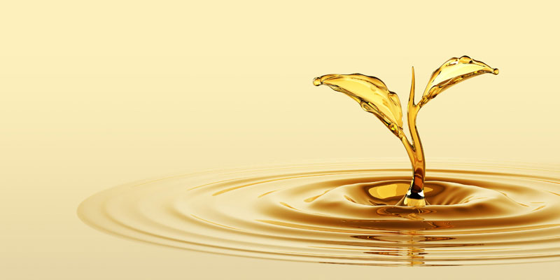 فروش روغن گیاهی