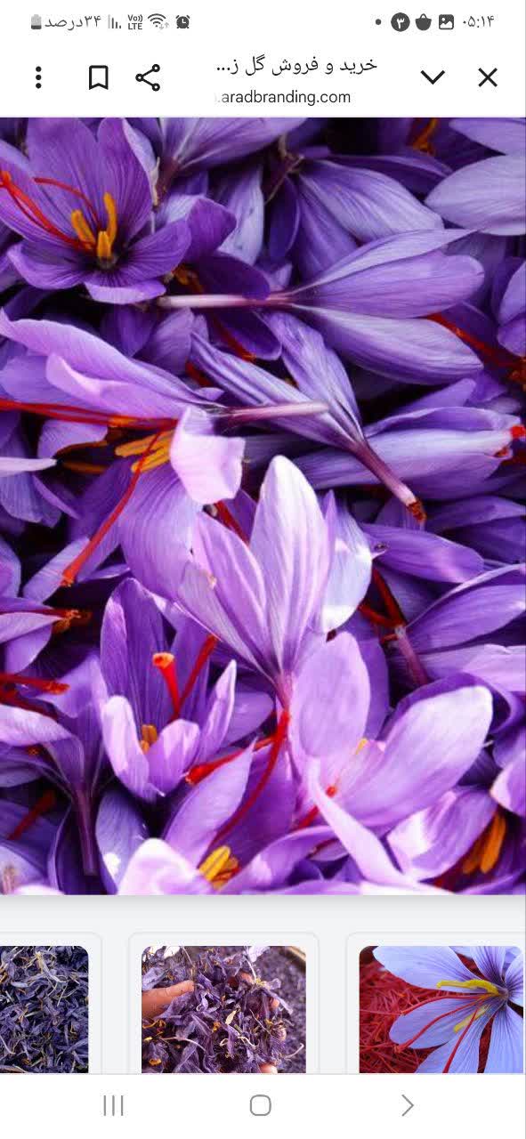تصویر 9 از قیمت خرید زعفران بهسود