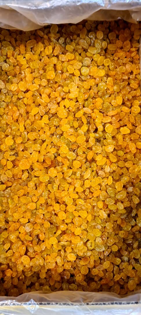 انگور کشمش