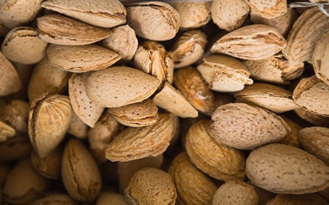 تصویر 2 از قیمت خرید بادام درختی همدان + فروش ویژه