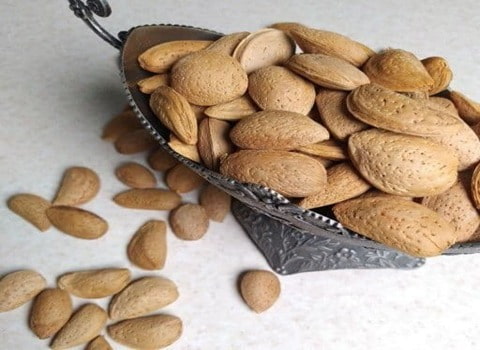 تصویر 3 از قیمت خرید بادام درختی همدان + فروش ویژه