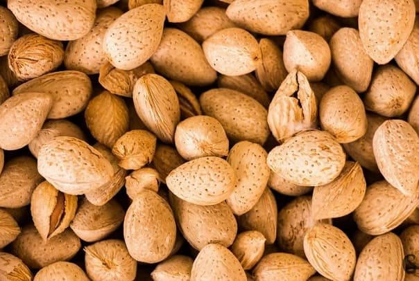 تصویر 2 از قیمت خرید بادام درختی با پوست + فروش ویژه