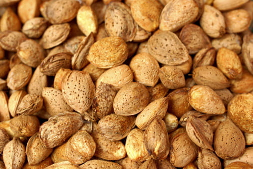 تصویر 3 از قیمت خرید بادام درختی با پوست + فروش ویژه