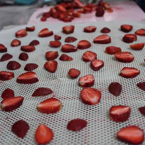 تصویر 1 از قیمت توت فرنگی خشک کیلویی + خرید باور نکردنی