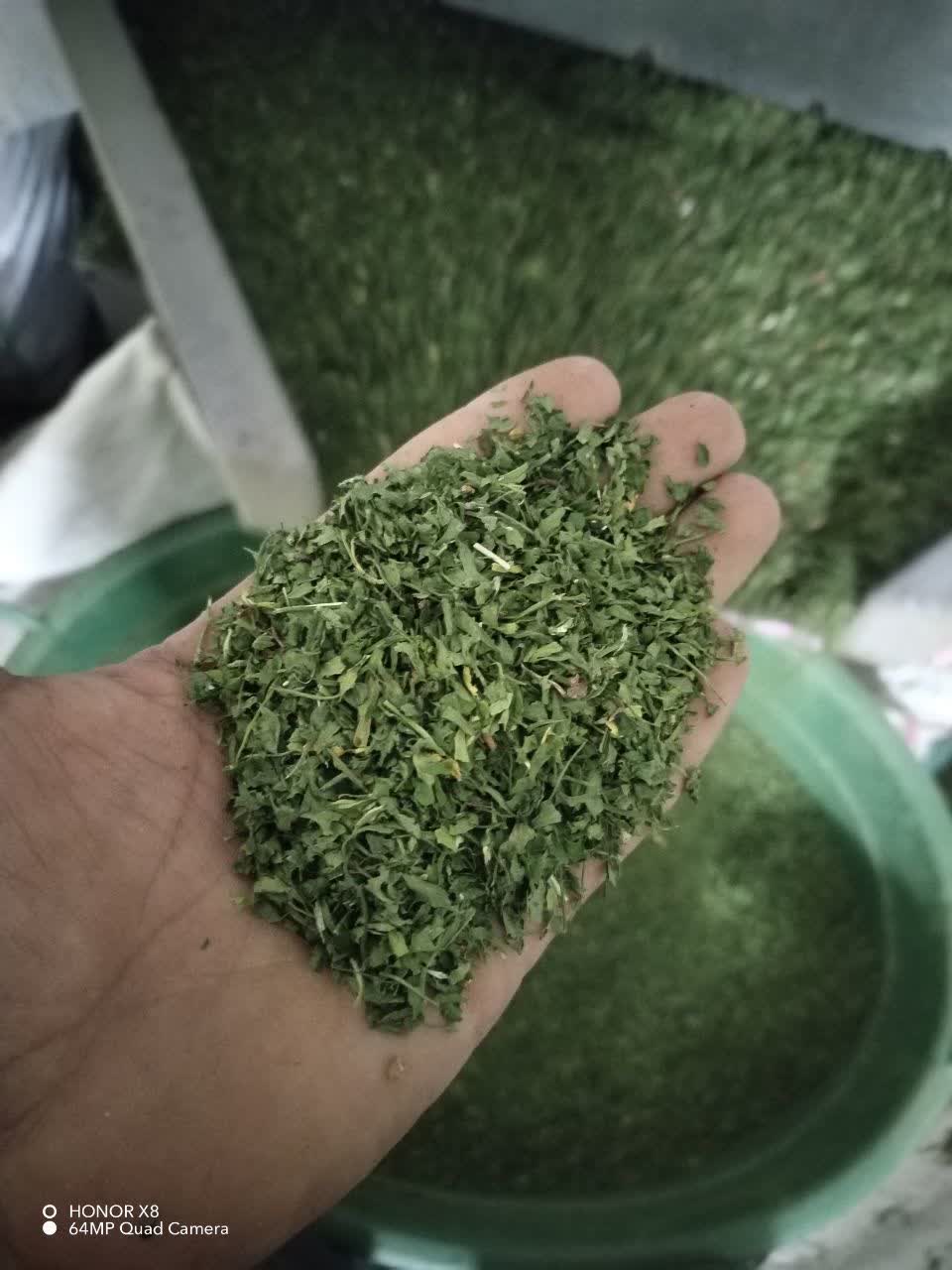 تصویر 1 از خرید نعناع خشک کیلویی