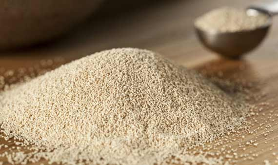 تصویر 1 از خرید و قیمت خمیر مایه خشک + فروش عمده
