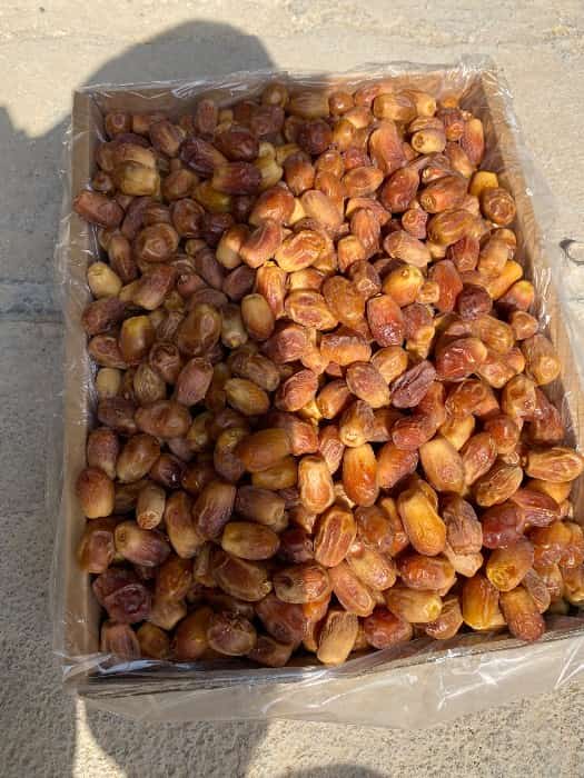 تصویر 2 از خرید خرما زاهدی خشک + قیمت فروش استثنایی