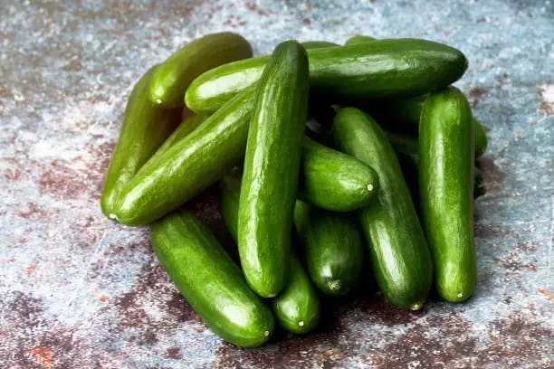 خیار قلمی
