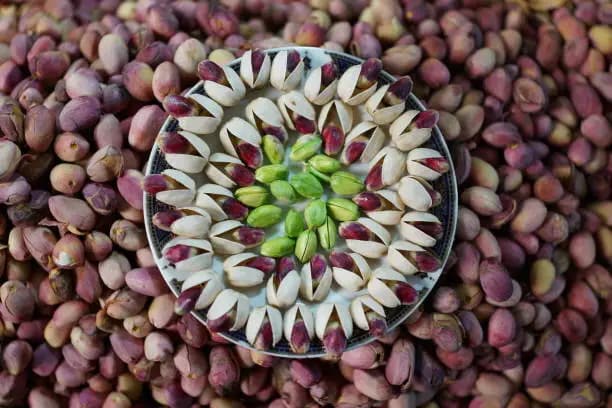 تصویر 2 از خرید و قیمت پسته اکبری تازه + فروش صادراتی