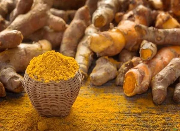 تصویر 4 از قیمت خرید زردچوبه اعلا صادراتی با فروش عمده