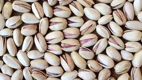 تصویر 1 از قیمت خرید پسته اکبری اعلا با فروش عمده
