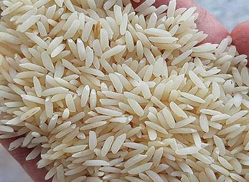 تصویر 4 از قیمت خرید برنج فجر شمال + فروش ویژه