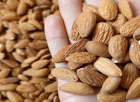 تصویر 2 از خرید مغز بادام درجه یک + قیمت فروش استثنایی
