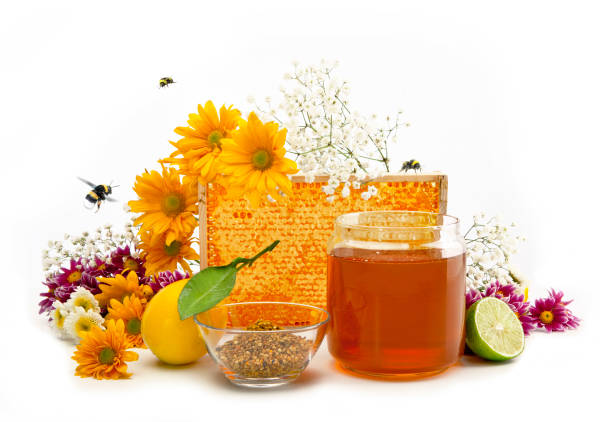 تصویر 5 از قیمت خرید عسل شوید + فروش ویژه