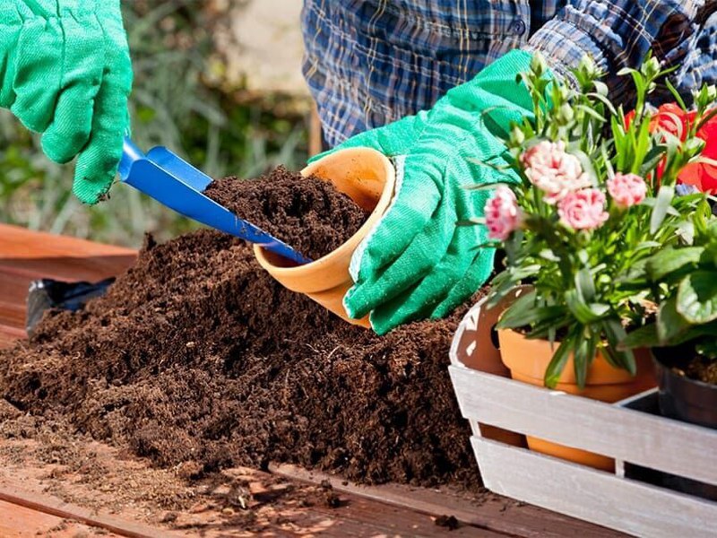 تصویر 3 از عرضه مستقیم پیت ماس 300 لیتری ککیلا + قیمت به صرفه