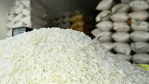 تصویر 2 از خرید برنج پاکستانی عالی + قیمت فروش استثنایی