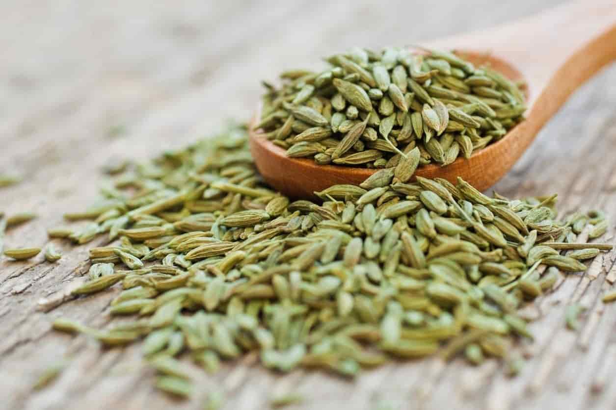تصویر 3 از قیمت و خرید زیره سبز کرمان + فروش ارزان