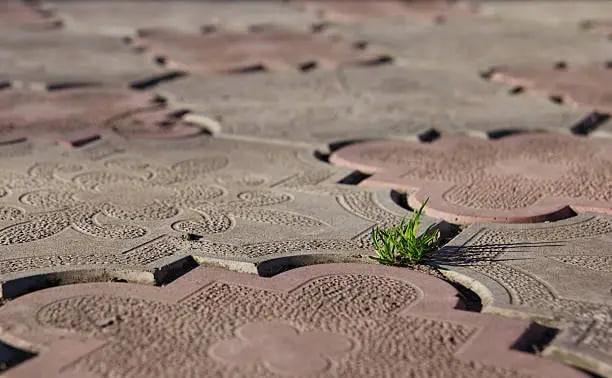 تصویر 2 از قیمت خرید سرامیک کف باغ با فروش عمده