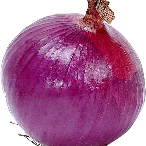 تصویر 3 از قیمت پیاز رستورانی + خرید باور نکردنی