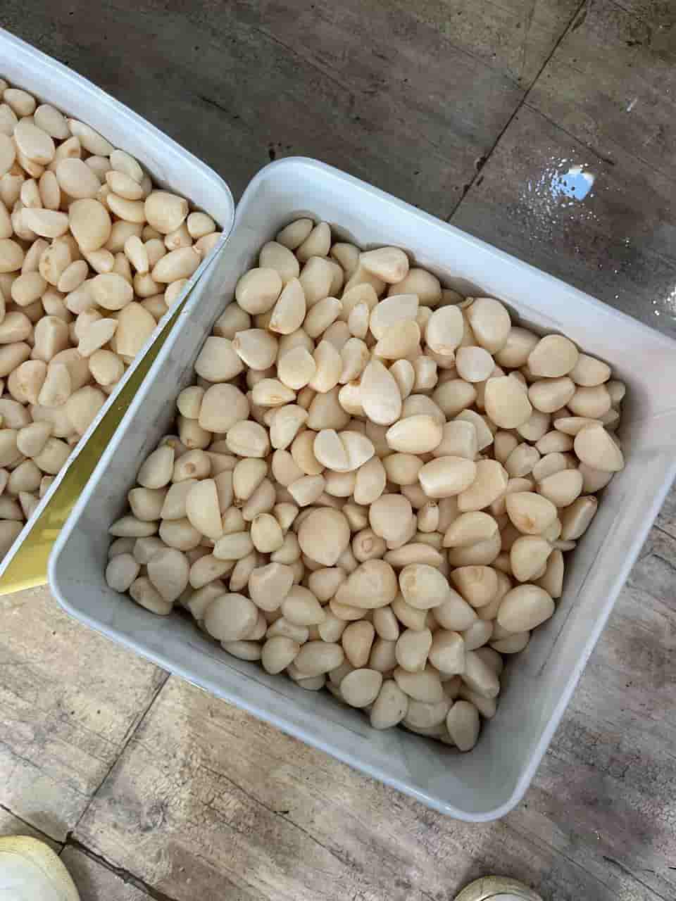 تصویر 4 از فروش سیر سفید تازه عمده + قیمت خرید به صرفه