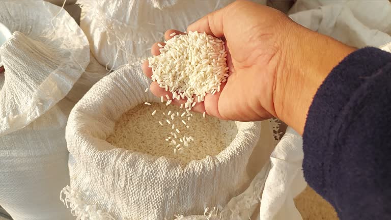 تصویر 4 از قیمت خوشمزه‌ ترین برنج ایرانی + صادرات