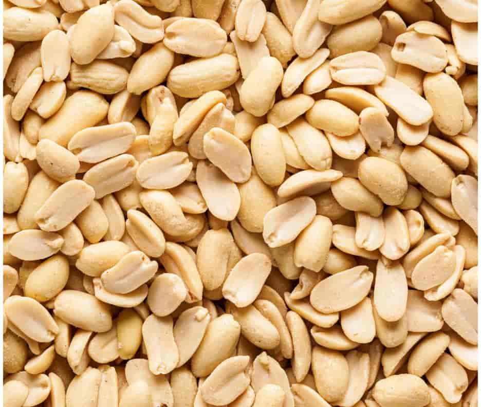 تصویر 1 از بهترین بادام زمینی ارگانیک + قیمت خرید عالی