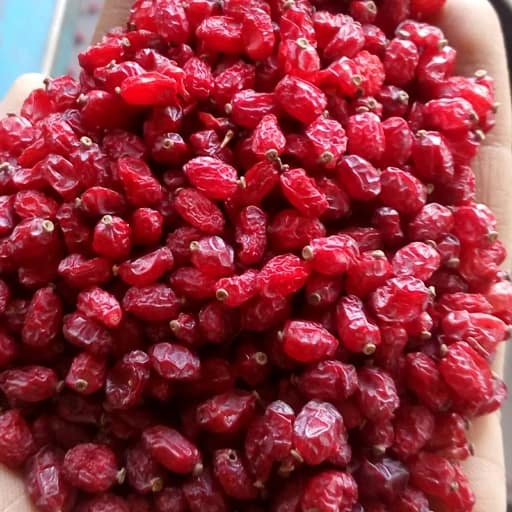 تصویر 1 از بهترین زرشک صادراتی + قیمت خرید عالی