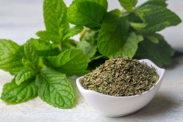 تصویر 4 از قیمت نعناع خشک کوهی + خرید باور نکردنی