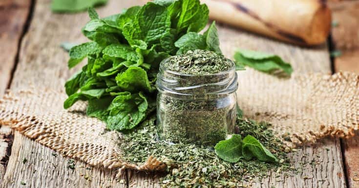 تصویر 1 از قیمت نعنا خشک اعلا + خرید باور نکردنی