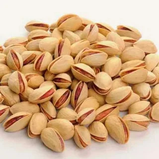 تصویر 2 از فروش پسته اکبری عمده + قیمت خرید به صرفه