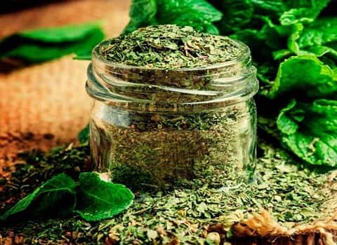 تصویر 2 از قیمت خرید نعنا خشک محلی + فروش ویژه