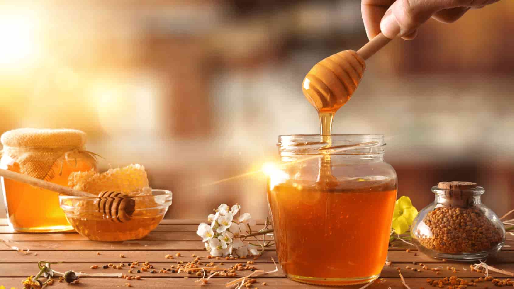 خرید و قیمت عسل ارگانیک + فروش عمده