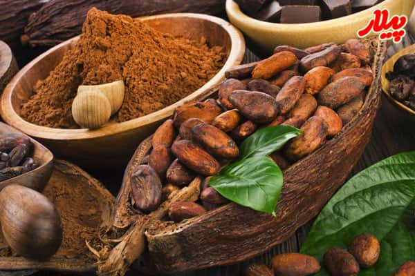 تصویر 3 از خرید قهوه خرما ارگانیک جنوب + قیمت فروش استثنایی