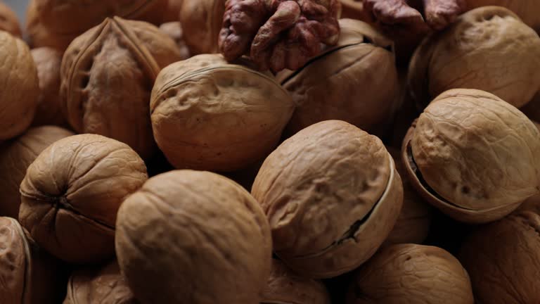 تصویر 2 از قیمت خرید گردو اقلید فارس + فروش ویژه