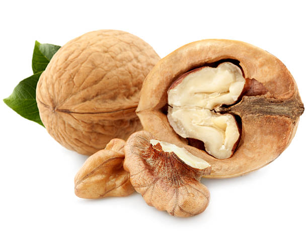 تصویر 3 از قیمت گردو با پوست + فروش عمده