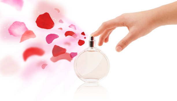 تصویر 2 از خرید و قیمت عطر لیبر + فروش عمده