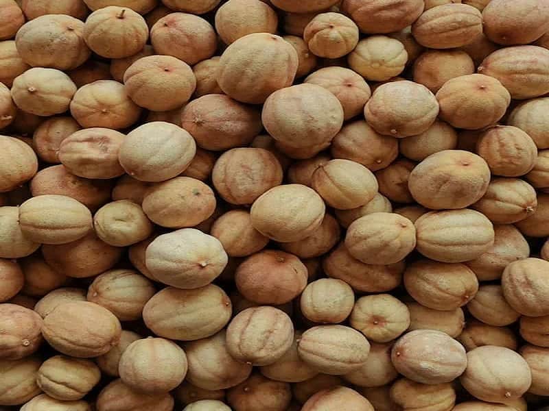 خرید و قیمت لیمو خشک + فروش عمده
