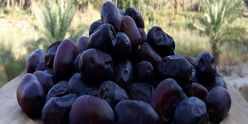 تصویر 2 از قیمت خرما رطب اصفهان + خرید باور نکردنی