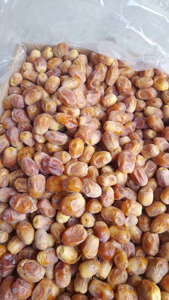 تصویر 1 از قیمت عالی خرما زاهدی صادراتی + خرید پر سود