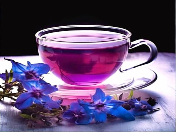 تصویر 4 از خرید و فروش گل گاو زبان اصل با شرایط فوق العاده