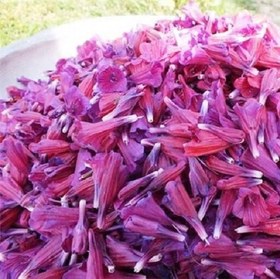 تصویر 2 از خرید و قیمت گل گاو زبان شمال + فروش صادراتی