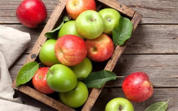 قیمت خرید سیب جنگلی گیلان + فروش ویژه