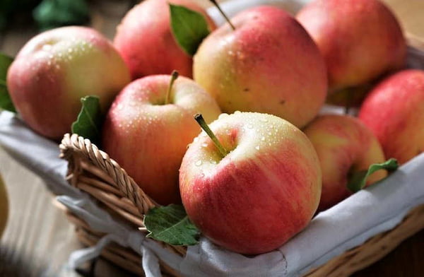 تصویر 4 از قیمت خرید سیب جنگلی گیلان + فروش ویژه