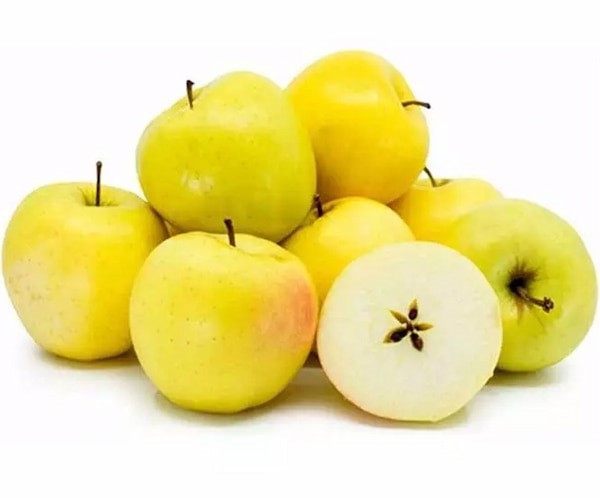 تصویر 1 از خرید و قیمت سیب درختی + فروش صادراتی