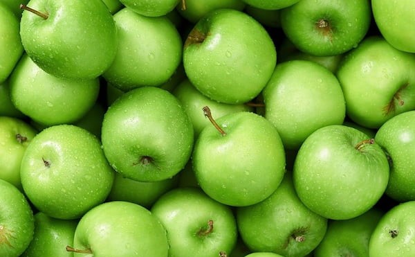تصویر 4 از خرید و قیمت سیب درختی + فروش صادراتی
