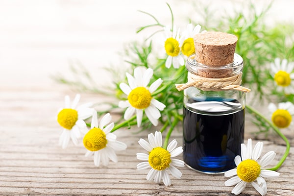 تصویر 2 از خرید و فروش عصاره گیاه دارویی بابونه کوهی با شرایط فوق العاده
