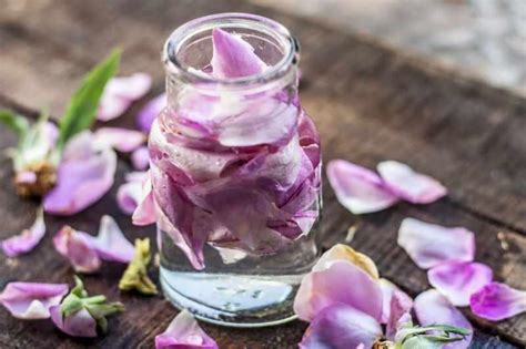 خرید و قیمت گلاب ممتاز کاشان + فروش عمده